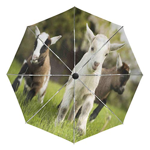 Wamika Baby Ziege Automatischer Regenschirm Gras Tier Schaf Winddicht Wasserdicht UV-Schutz Reise Regenschirm - 3 Falten Auto Öffnen/Schließen Knopf Sonne & Regen Auto Regenschirm von Fender