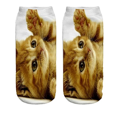 Ferocity Lustige Socken Sneaker Halbsocken Strümpfe Sportsocken Füßlinge mit Motiv 3D für Frauen Size EU 36-40 Ginger Kitty [001] von Ferocity