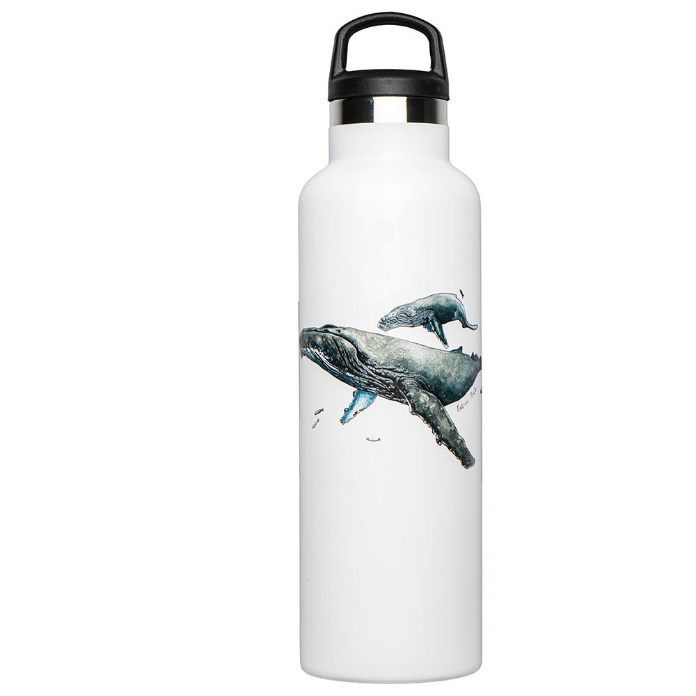 Fish Tank Humpback Whale&diver Bottle 600ml Weiß von Fish Tank