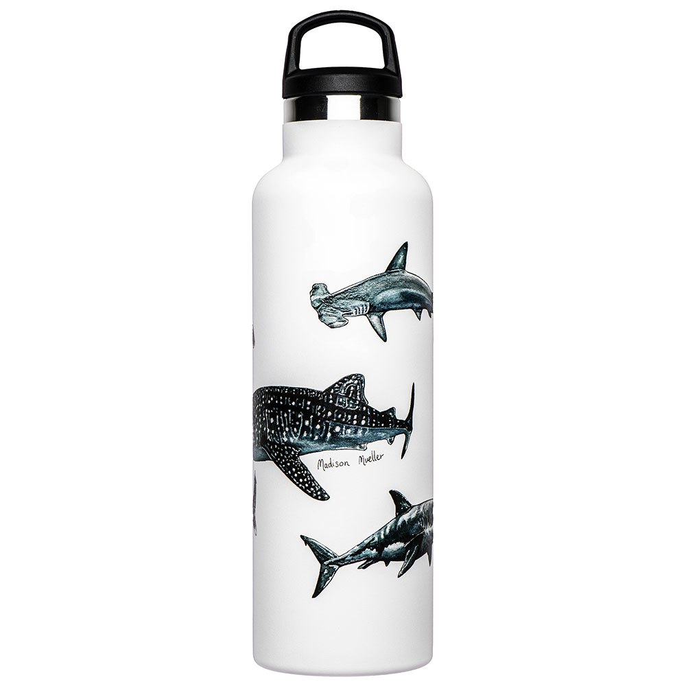Fish Tank Shark Poster Bottle 600ml Weiß von Fish Tank