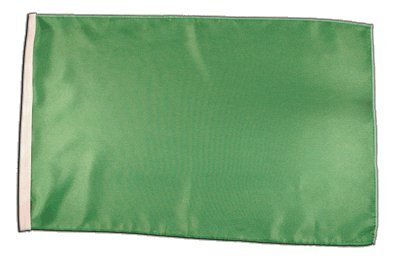 Fahne Flagge Einfarbig Grün 30 x45 cm von Flaggenfritze