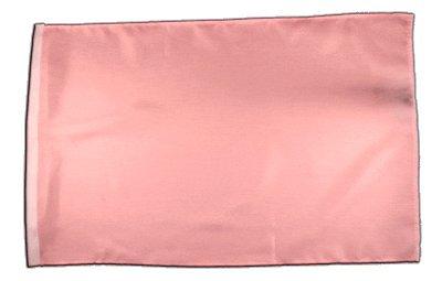 Fahne Flagge Einfarbig Pink 30 x45 cm von Flaggenfritze