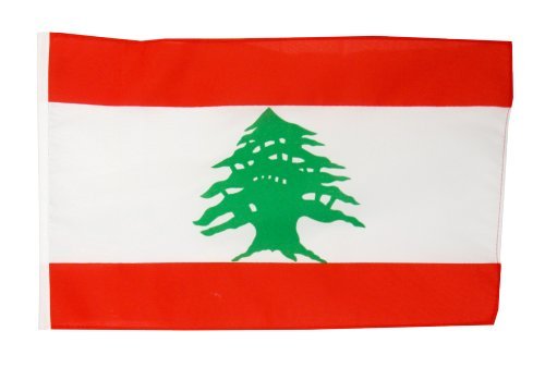 Fahne Flagge Libanon 30 x45 cm von Flaggenfritze