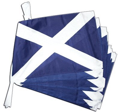 Fahnenkette Flaggen Schottland 30x45cm, Länge 9 m von Flaggenfritze