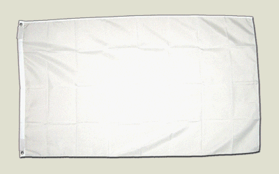 Flagge Weiß - 90 x 150 cm von Flaggenfritze