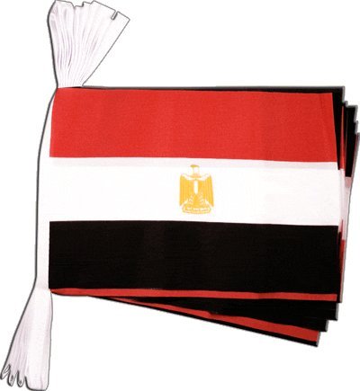 Flaggenfritze® Fahnenkette Ägypten, Länge 5,9 m von Flaggenfritze