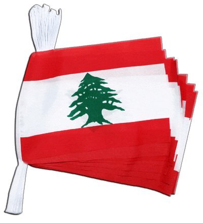 Flaggenfritze® Fahnenkette Libanon, Länge 5,9 m von Flaggenfritze