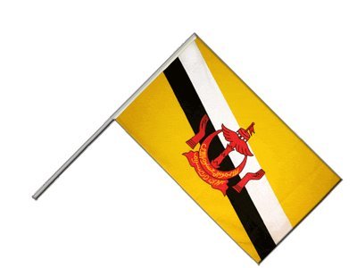 Flaggenfritze® Große Stockflagge Schwenkflagge Brunei - 60 x 90 cm von Flaggenfritze