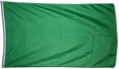 XXL Flagge Fahne Einfarbig Grün 150 x 250 cm von Flaggenfritze