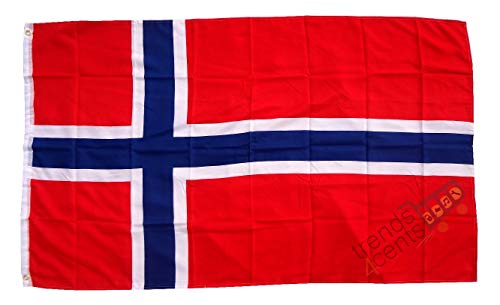 XXL Flagge Fahne Norwegen 150 x 250 cm von Flaggenfritze
