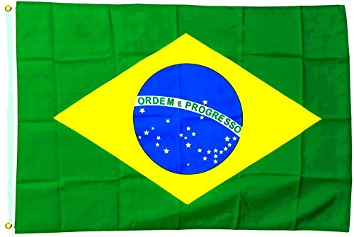 Fahne Flagge Brasilien 30 x 45 cm [Spielzeug] von Flags4You