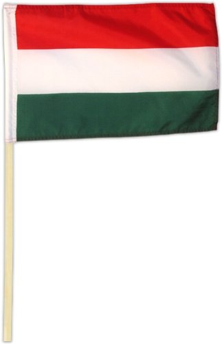 Fahne Flagge Ungarn 30 x 45 cm mit Stab von Flags4You