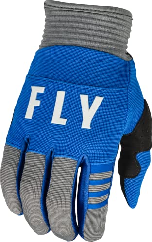 Fly Racing 2023 Erwachsene F-16 Handschuhe (Blau/Grau, Large) von Fly Racing