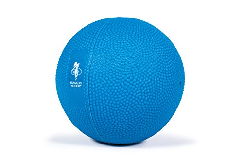 Franklin Fascia Grip Ball blau, 500gr von OPTP