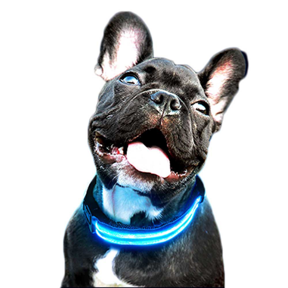 Freedog Led Collar Blau S von Freedog