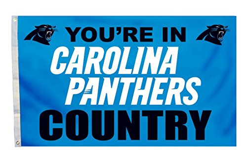 Fremont Die NFL Carolina Panthers Flagge mit Ösen, 90 x 150 cm, Länderflagge von Fremont Die