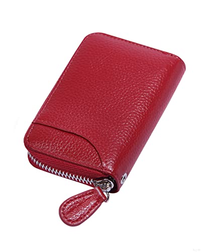 RFID Blocking Leather Wallet for Women,Excellent Women's Genuine Leather Credit Card Holder Ladies Small Blocked Accordion Wallets with Stainless Steel Zipper Compact Accordian ID Cards Bag Wine Red von GADIEMKENSD