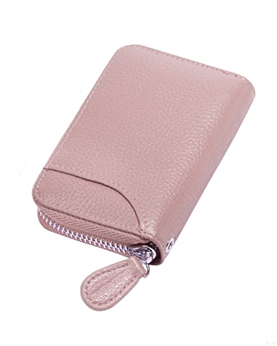 Womens Credit Card Holder Small RFID Blocking Ladies Wallet with Stainless Steel Zipper Excellent Genuine Leather Accordion Wallets Case for Women ID Compact Slim Blocked Zip Accordian Cards Pink von GADIEMKENSD