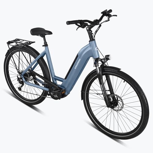 GRUNDIG GCB-1 E-Bike 28 Zoll Elektrofahrrad für Damen und Herren, E-Bike Trekking mit 250W/80N.m BAFANG Mittelmotor und Drehmomentsensor, Shimano 9 Gänge, 36V/15Ah LG Akku bis zu 120KM von GRUNDIG