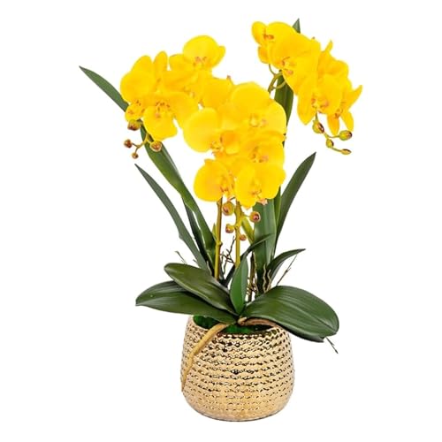 GSZCCZS Künstliche Orchideenblume im Keramik -Topf, Faux gefälschte Phalaenopsis Blumenarrangement für Wohnkultur Wohnzimmertisch Herzstück Herzstück von GSZCCZS