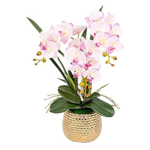 GSZCCZS Künstliche Orchideenblume im Keramik -Topf, Faux gefälschte Phalaenopsis Blumenarrangement für Wohnkultur Wohnzimmertisch Herzstück Herzstück von GSZCCZS