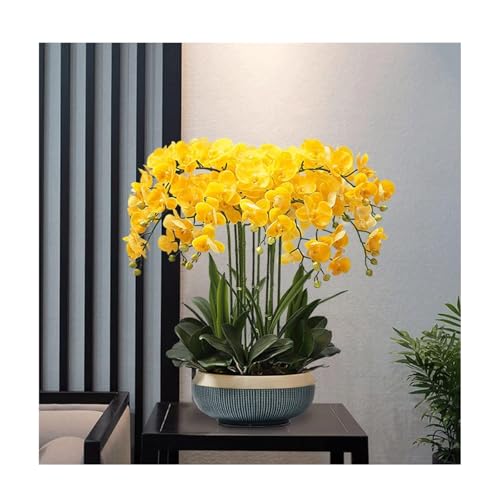 GSZCCZS Kunst Orchidee Künstliche Blüten mit Keramik -Topf, Seide Kunstpflanze Phalaenopsis Blütenanordnungstisch Mittelstücke Innenleichte Dekoration von GSZCCZS