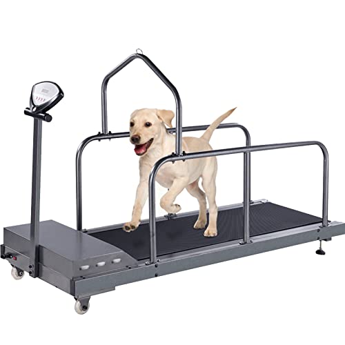 Hunde-Laufband für große Hunde, Laufband für Hunde, Laufband für mittelgroße Hunde, Haustier-Laufmaschine für kleine und mittelgroße Hunde, Indoor-Laufband von GYDUHYE