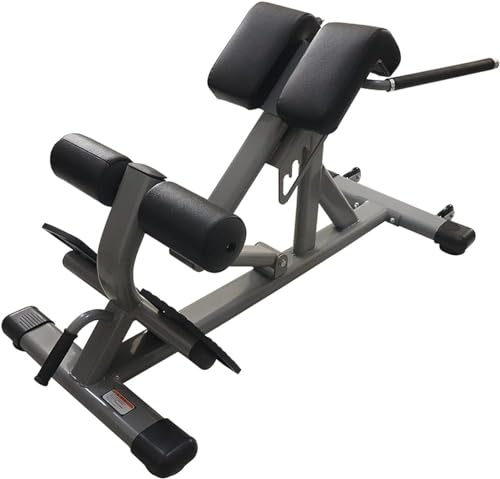 Römischer Stuhl, Hyperextension-Maschine, Bauchmuskelbank für den unteren Rücken, Hyper-Übungen, einfach zu trainieren von GYDUHYE