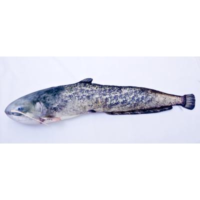 GABY LACHS Salmon 90cm Stofftier Plüschtier Kuscheltier Salmon