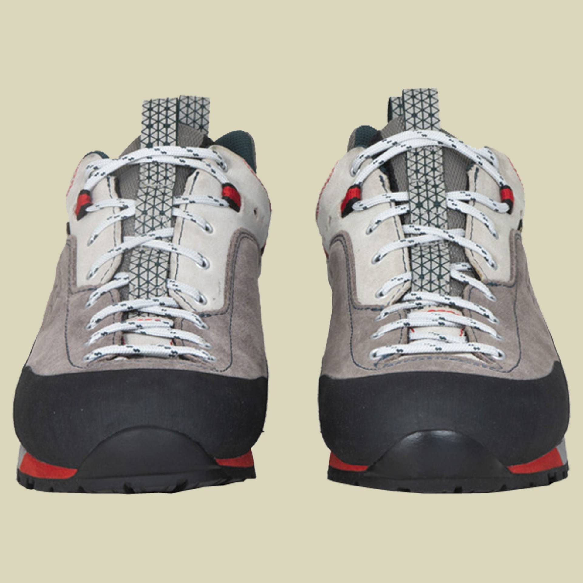 Dragontail LT GTX Men von Garmont