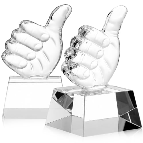 Gewinner Trophy Award Going Away Gift: 2 Pcs Acrylic Awards Personalized Awards and Trophäen, Employee Appreciation Gifts Bulk Team Farewell Gifts for Coworkers von Gatuida