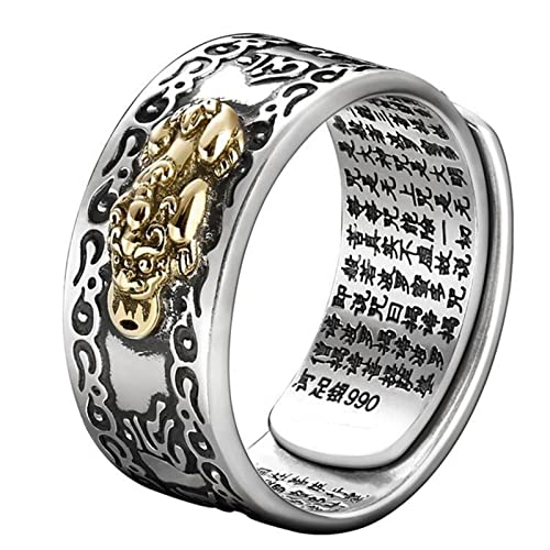 99 Silber Feng Shui Pixiu Mantra Ring Buddhistisches Glück Amulett Mantra Doppelter Schutz Reichtum Liebe Gesundheit Ring Geschenk für Männer Frauen,Gold male1 von Generic