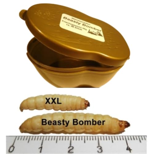 Bienenmaden Beasty Bomber XXL Mega Bienenmade Wachsmade XXL von Generic