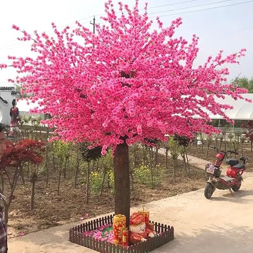 Gorgeous Artificial Flower Pink Cherry Blossom Tree Fake Vines Flowers Hanging Rattan Garland Wall Decor Silk Sakura for Wedding Party Ceremony Home Decor 2X1.5m/6.6x4.9FT von Generic