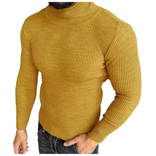 Herren Rollkragenpullover Pullover, Einfarbig Loose Fit Herbst Business Stretch Basic Winterpullover Fleecepullover Pulli Langarmshirt Sweater Herren Zu Winterlichen Spaziergängen von Generic