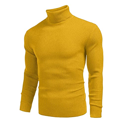 Rollkragenpullover Herren Pullover, Langarm Loose Fit Winter Casual Stretch Warm Winterpullover Langarmshirt Fleecepullover Strickpullover Herren Zu Winterlichen Spaziergängen von Generic