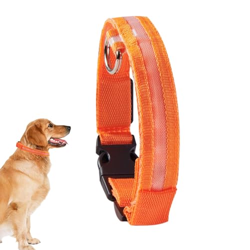 Generisch Leuchthalsband | Leuchtendes Leuchthalsband für Hunde,Verstellbare, im Dunkeln leuchtende Halsbänder für Welpen, mittelgroße und kleine Hunde von Generisch