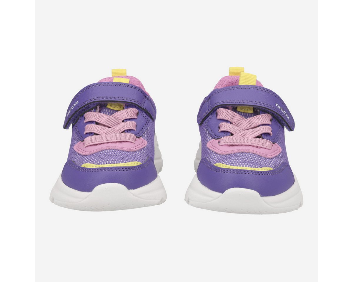 Geox GEOX LOFTUS, Sneaker in Lila für Kinder Sneaker von Geox