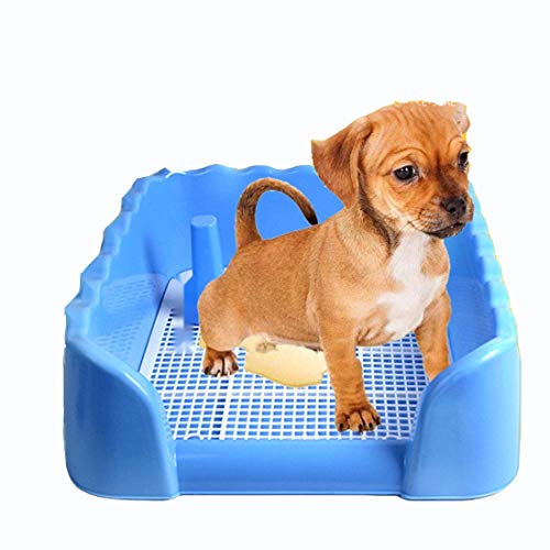 Gmjay Tragbare Pet WC Tray Training Pad Halter Mit Zaun Hunde Indoor Outdoor-Einsatz Puppy Loo Töpfchen Square Grid Splash Dog WC,Blue von Gmjay