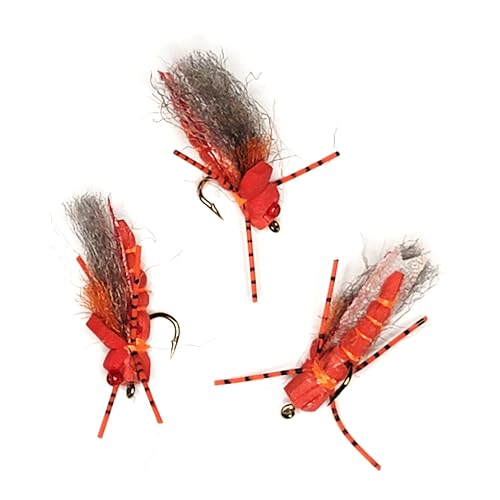 Project Cicada – 3 Stück – Terrestrischer Trockenfliegenanzieher – unsinkbarer Schaumstoff – Dropper Rig – Fliegenfisch für Forellen, Barsch, Bluegill, Crappie und andere Wildfische (Rot/Rot, 10) von Golden Tippet