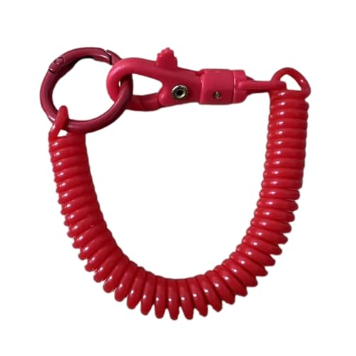 Greabuy Spiralen Federkoil Stretchy Keychain Retractable Elastic Anti Lost Keyring Diebstahl Diebstahl Keyring Retacriactable Feder Spulen Spulen Schlüsselbund von Greabuy