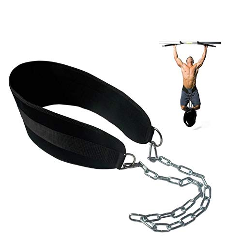 HemeraPhit Gewichtete Klimmzug Dips Gürtel Kette Doppel D Ring Gewichtheben Rückengurte Home Gym Zubehör Hüftgurt (doppelter D-Ring) von HemeraPhit