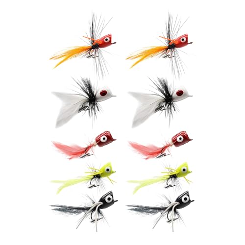Gupcaqosjw Fliegenköder - 10 Trockene Fliegenfisch Köder für | Kleine Köder Trocken Nass Haken für Forelle Barsch Angler Enthusiasten von Gupcaqosjw