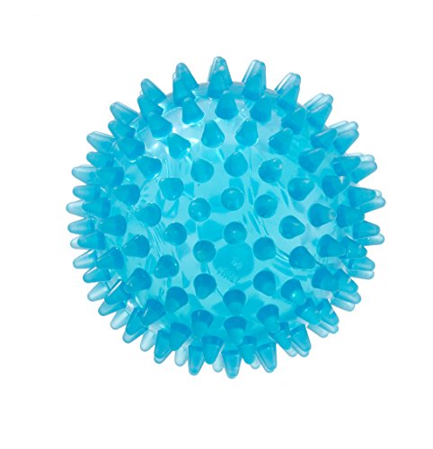 GYMNIC - 4009758 – Igelball, Reflexball, 9 cm, Blau von GYMNIC