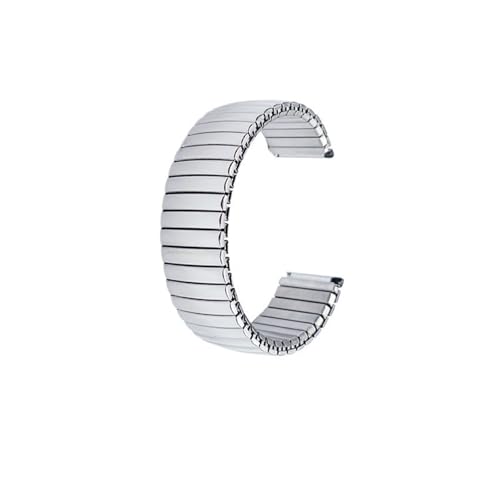 HFBZVAFC Elastisches Uhrenarmband aus Metall, 14 mm, 16 mm, 18 mm, 20 mm, 22 mm, Edelstahl, Uhrenzubehör, Herren/Damen, Universal-Armband(Silver - Glossy,16mm) von HFBZVAFC