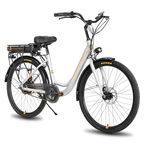 Hiland 26 Zoll Elektrofahrrad E-Bike, E-Cityrad mit 36V 7.8Ah Lithium-Akku, 250W Motor Scheibenbremsen E-Bike für Erwachsene Männer Frauen Grau von HH HILAND