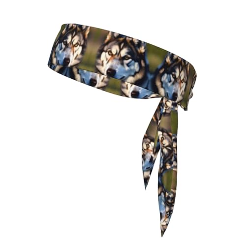 Lovely Husky Performance Schweißabsorbierendes Stirnband – ideal für Tennis, Laufen, Radfahren – Unisex-Stirnbänder für Damen und Herren von HJLUUFT