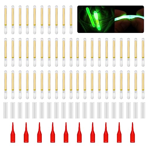 HLBEST 50 helle Angel-Lichtstäbe, Angelrutenspitze, fluoreszierender Stab für nächtliches Leuchten, Zubehör von HLBEST