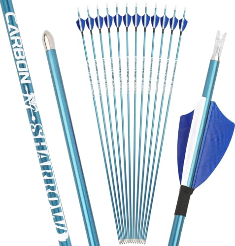HNZMDY Bogenschießen Carbonpfeile 4.2mm Jagdpfeile 400-1000 Spine Bogenpfeile Wettbewerb Pfeile Pure Carbon Schaft für Recurve Compound Bogen 12pack (Blau, 900spine) von HNZMDY