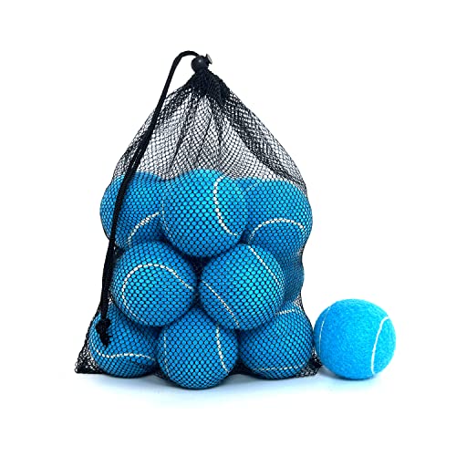HPWFHPLF Tennisbälle, 12 Packungen Übungs-Tennisbälle für Anfänger, Training, Spielen von Tennisbällen für Hunde, mit Netz-Tragetasche (blau) von HPWFHPLF